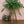 Vintage Boho Rattan Planter on Legs