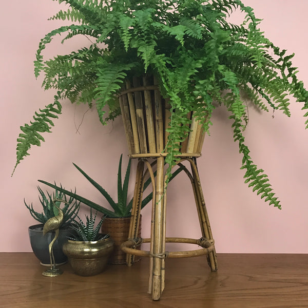 Vintage Boho Rattan Planter on Legs