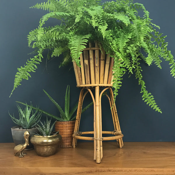 Vintage Boho Rattan Planter on Legs