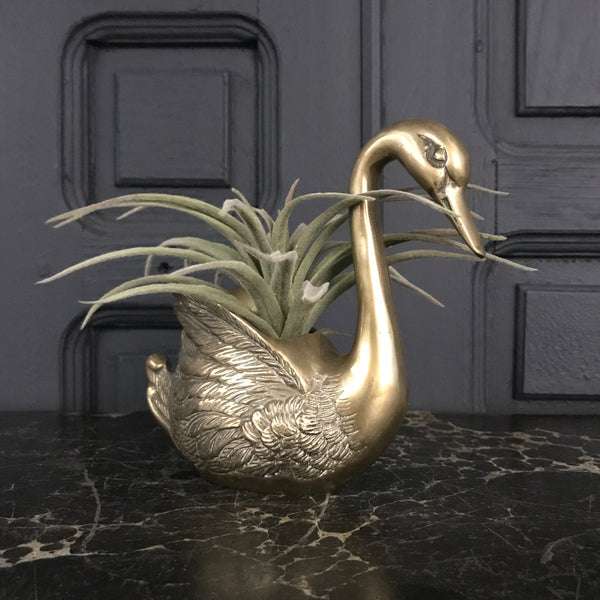 Mid Century Brass Swan Planter #A2