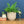 Vintage 'Bamboo' West German Ceramic Planter