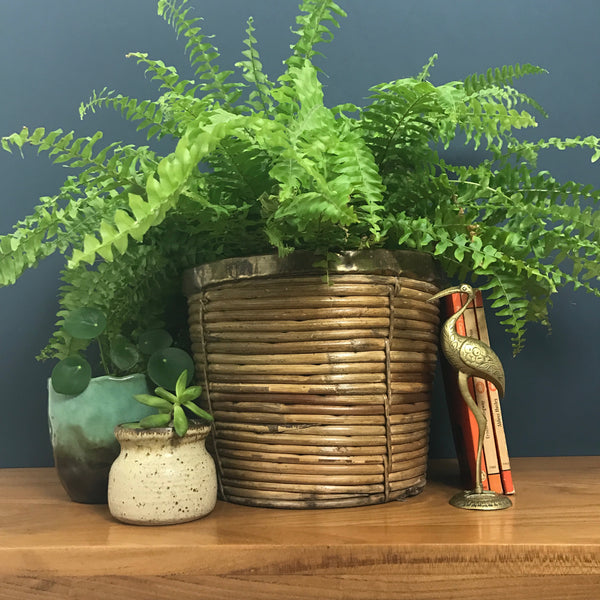 LARGE Vintage Brass 'Bamboo' Planter