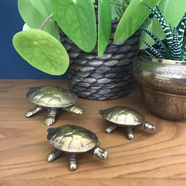 3 x Vintage Brass Tortoise Trinket Boxes