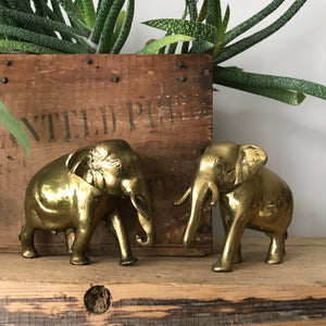 Mid Century Brass Pair of Elephants