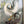 Vintage 1960s Geese Framed Picture