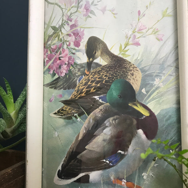 Vintage 1960s Mallards Framed Picture