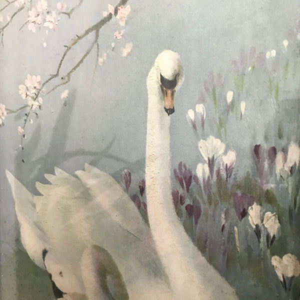 Vintage 1960s Swans Framed Picture