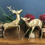 VERY LARGE Pair of Mid Century Brass Deer