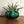Canadian Mid Century Pottery Bowl/Planter