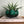 Canadian Mid Century Pottery Bowl/Planter