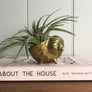 Small Vintage Brass Shell Ornment #A1