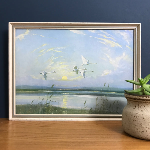 Vintage 1960s 'Swans' Framed Picture