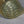 Large Vintage Hollywood Regency Brass Toucan