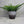 Brown & White Mid Century Ceramic Planter