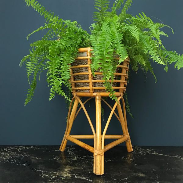 Vintage Boho Rattan Planter #3