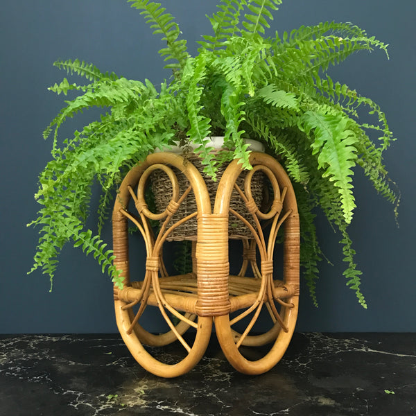 Vintage Boho Rattan Planter #1