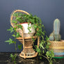 Vintage Miniature Boho Peacock Chair Planter