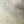 1960s Framed 'Trees' Picture