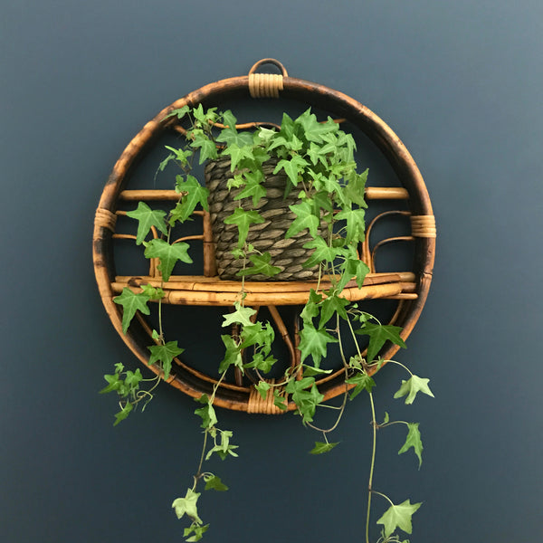 Boho Rattan Wall Planter with Shelf