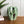 Mid Century Green Ceramic Modernist Vase