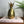 Mid Century Brass Pineapple (medium)