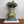 Large Vintage Green & Brown Stripe Jug