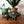 LARGE Mid Century Ceramic Bull