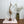 Mid Century Wooden Carved Crane - TALL