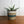 Vintage Denby Ceramic Planter