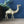 Vintage Mid Century Brass Camel