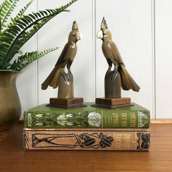 Mid Century Horn Carved Pair of Cockatoos
