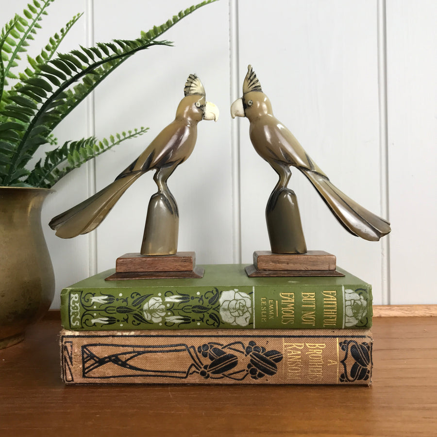 Mid Century Horn Carved Pair of Cockatoos