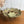 Vintage 'Trees' Pottery Bowl