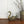 Vintage Brass Swan Planter #A1 - Medium