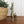 Mid Century Brass Donkey/Mule - Small