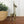 Mid Century Brass Donkey/Mule - Large