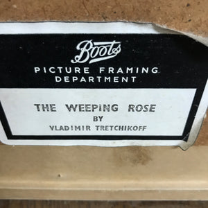 Mid Century Framed Print 'The Weeping Rose'
