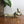 Vintage Brass Squirrel Nutcrackers