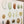 Vintage Ellen Backe Botanical Wall Chart #2