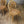 ercol_hoopback_windsor_elm_chairs