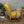 Rare Mid Century Ercol Wingback Armchair - 1003h