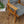 mid_century_beech_armchair_vintage