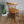 X4 Mid Century Ercol Candlestick Chiltern Chairs - 0804f