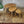 Ercol Elm & Beech Pebble Nest of Tables - 1008e