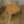 mid_century_ercol_model_449_dining_chairs