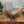 Mid Century Rocking Chair (Large) #0119r