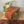 mid_century_teak_austinsuite_frank_guille_dressing_table