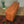 mid_century_teak_danish_media-cabinet_sideboard