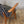 mid_century_teak_danish_thonet_mudcloth_tribal_boho_armchair_desk_chair