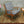 mid_century_vintage_elm_scandart_rocking_chair